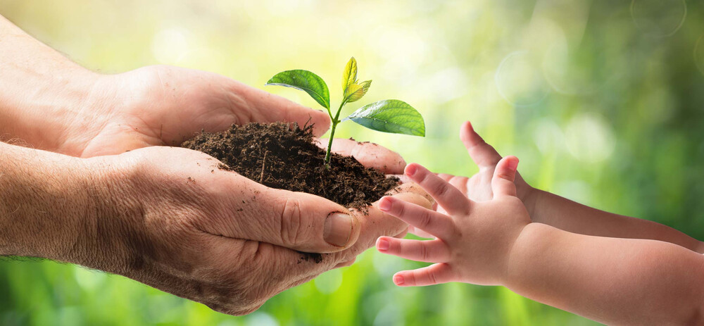 La transmission de patrimoine