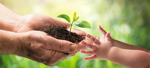 La transmission de patrimoine